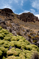 Colca Valley and Colca Canyon, Peru _  -11